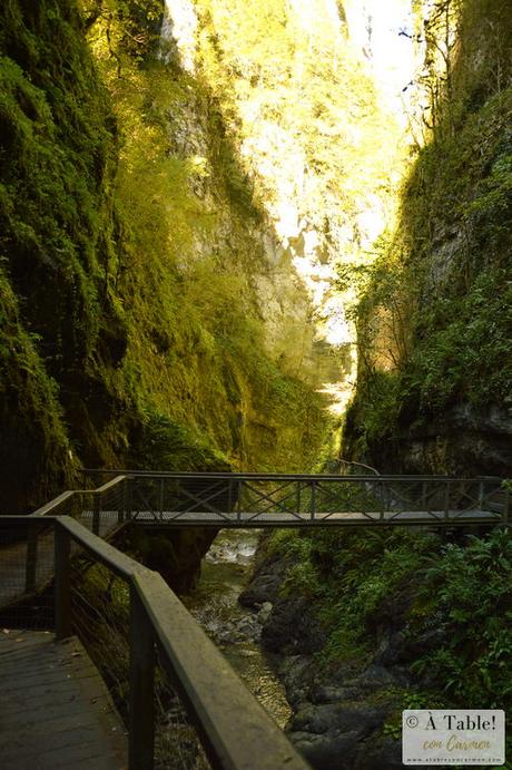 Espectáculo de la Naturaleza: Pasarela de Holtzarte y Gargantas de Kakueta