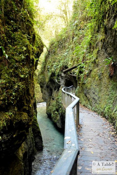 Espectáculo de la Naturaleza: Pasarela de Holtzarte y Gargantas de Kakueta