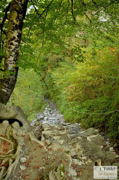 Espectáculo de la Naturaleza: Pasarela de Holtzarte y Gargantas de Kakueta