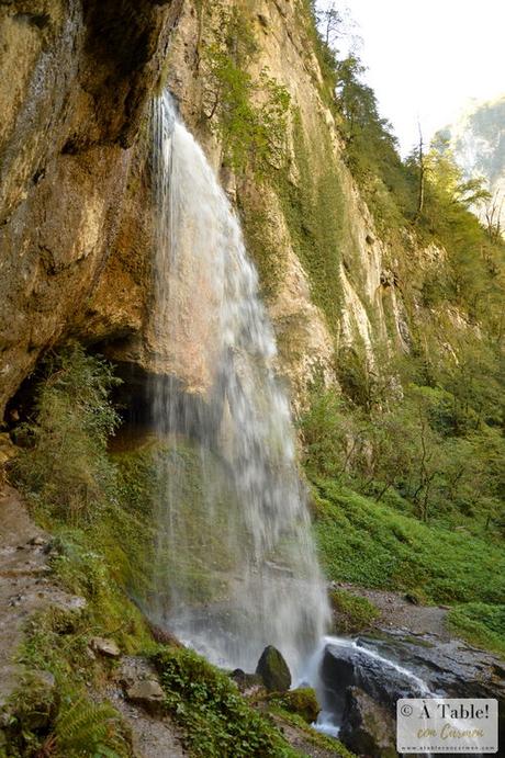 Espectáculo de la Naturaleza: Pasarela de Holtzarte y Gargantas de Kakueta