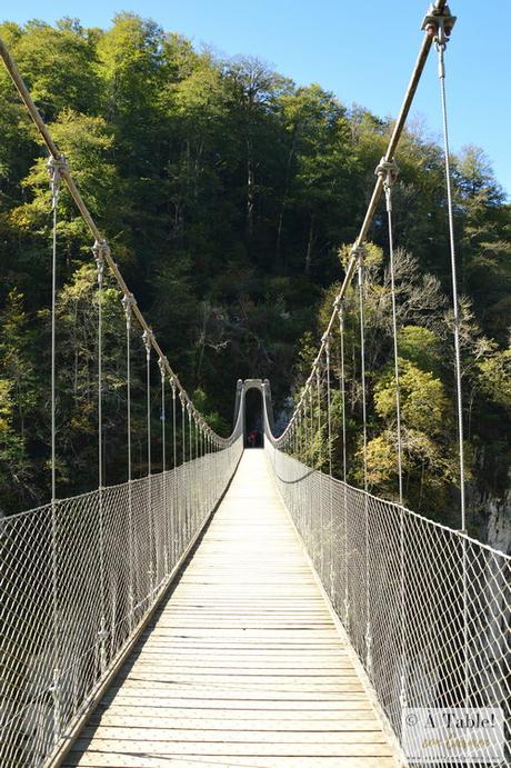 Espectáculo de la Naturaleza: Pasarela de Holtzarte y Gargantas de Kakueta