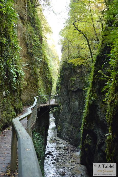 Espectáculo de la Naturaleza: Pasarela de Holtzarte y Gargantas de Kakueta