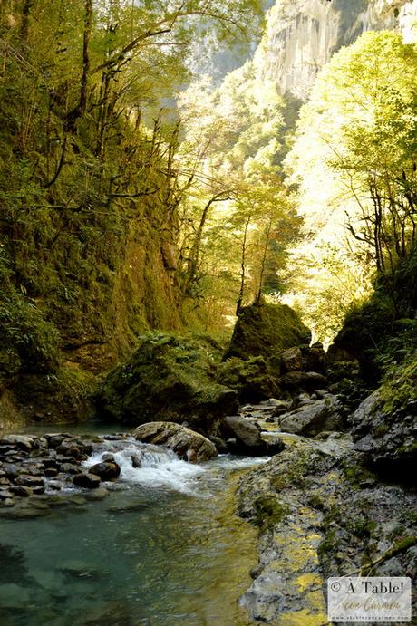 Espectáculo de la Naturaleza: Pasarela de Holtzarte y Gargantas de Kakueta