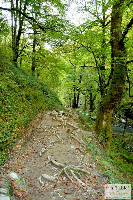 Espectáculo de la Naturaleza: Pasarela de Holtzarte y Gargantas de Kakueta