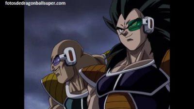 la saga de raditz napa y vegeta saiyajin la saga de raditz napa y vegeta saiyajin