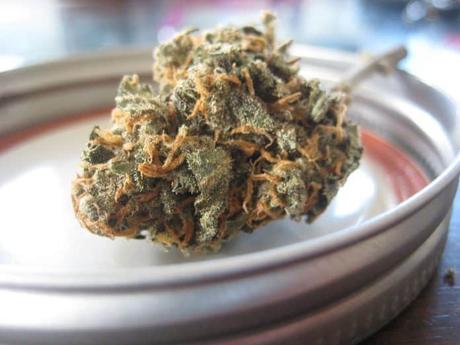 Uso de marihuana aumenta en estados donde el consumo es legal