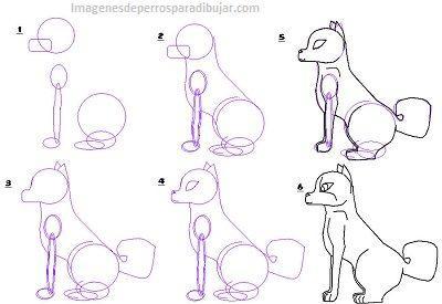 como dibujar un perro sentado pintar