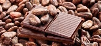 Cacao, feniletalamina, dopamina, felicidad y rendimiento natural Cacao, feniletalamina, dopamina, felicidad y rendimiento natural