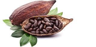 Cacao, feniletalamina, dopamina, felicidad y rendimiento natural Cacao, feniletalamina, dopamina, felicidad y rendimiento natural