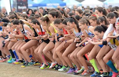 XIV CROSS INTERNACIONAL DE ATAPUERCA XIV CROSS INTERNACIONAL DE ATAPUERCA