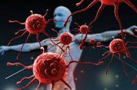 Científicos descubren cómo el Sistema Inmune elimina las Infecciones