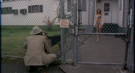 Charley Varrick - 1973