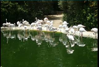 El Zoo de Jerez