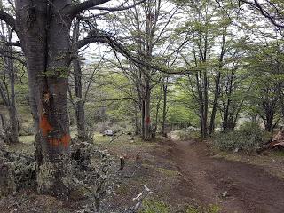 ASCENSIÓN A LA SIERRA DOROTEA (600 m)