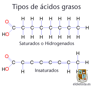 ácidos grasos