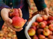 Apple picking (OOTD)