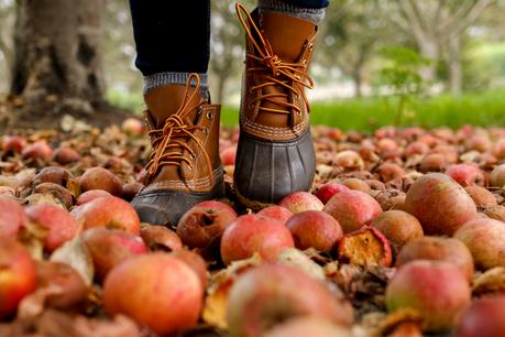 Apple picking (OOTD) Apple picking (OOTD)