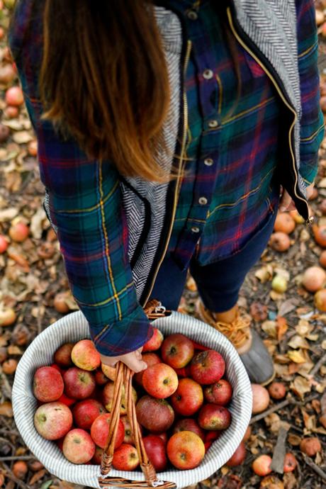 Apple picking (OOTD) Apple picking (OOTD)