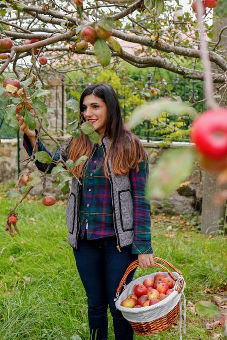 Apple picking (OOTD) Apple picking (OOTD)