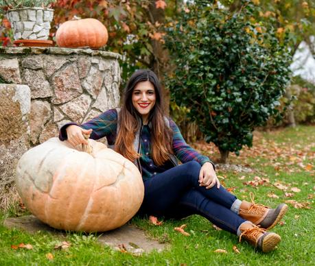 Apple picking (OOTD) Apple picking (OOTD)