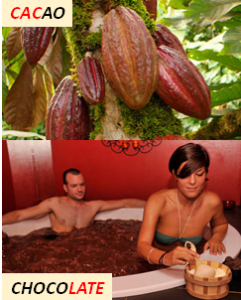 5 Alimentos para aumentar tu deseo sexual