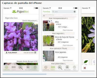 PlantNet, identifica plantas con tu móvil PlantNet, identifica plantas con tu móvil