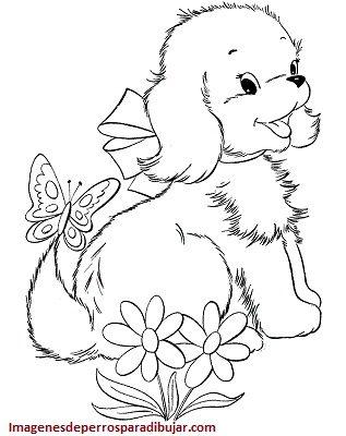 imagenes de perritos tiernos para pintar dibujos