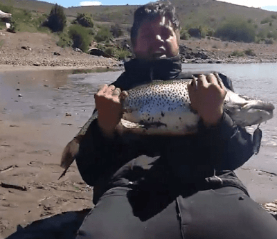 Una trucha de 7 kilos fue capturada en Alicurá