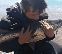 Una trucha de 7 kilos fue capturada en Alicurá