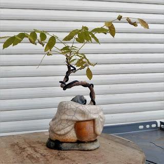 Un poco de otoño solo un poco Un poco de otoño solo un poco