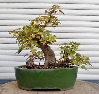 Un poco de otoño solo un poco Un poco de otoño solo un poco