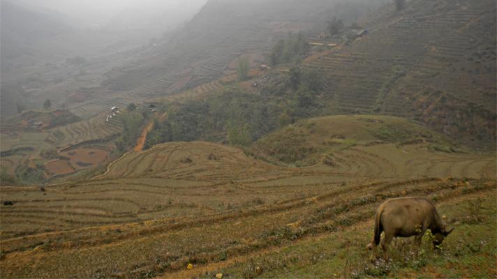 Sapa II - Trekking por las aldeas de las montañas