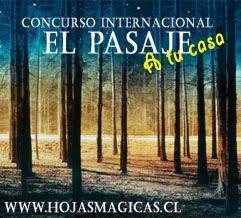 Concursos Internacionales