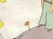 Imaginación eficiencia atención primaria