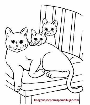 dibujos para imprimir de perros y gatos bebes