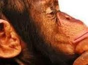 filosofía zapatillas...