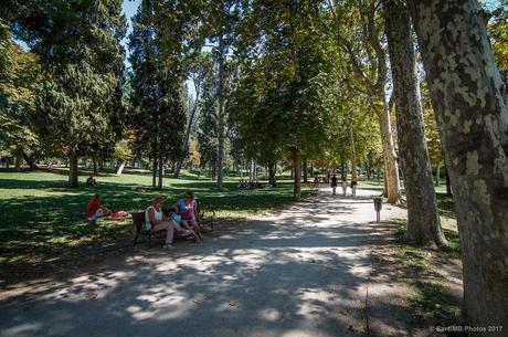 Una mañana en el parque