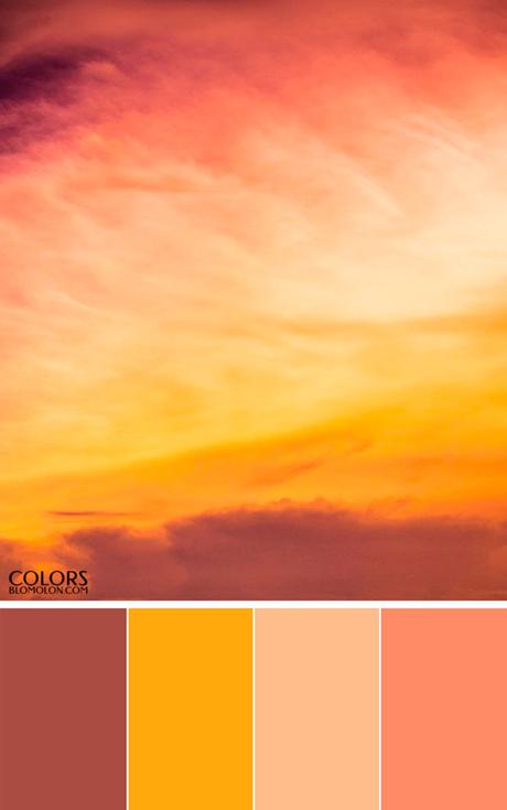 Paletas De Colores Con Photopea + Plantillas