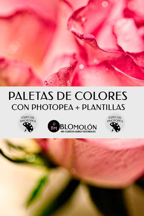 Paletas De Colores Con Photopea + Plantillas