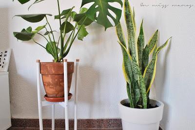 DIY Soporte para maceta