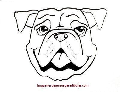 caritas de perros para dibujar bulldog