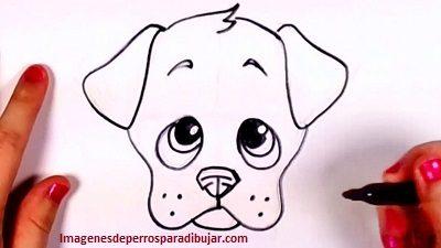 Faciles dibujos tiernos de 4 caritas de perros para dibujar - Paperblog