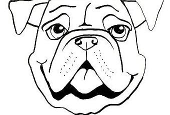 Faciles dibujos tiernos de 4 caritas de perros para dibujar - Paperblog