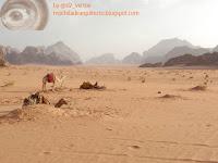 Visita al Desierto de Wadi Rum