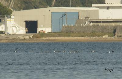 ¡OS JURO QUE LO VI!