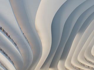 Los libros de la tía Felisa