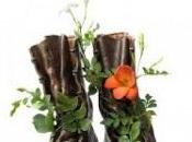 TIERRA PISAMOS. Jesús Carrasco.