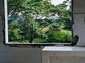 Ventanas conocimiento