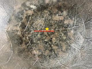 TARTA DE QUESO Y MANDARINA EN THERMOMIX Y TRADICIONAL