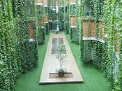 Días Spa: Yacht Club Asunción